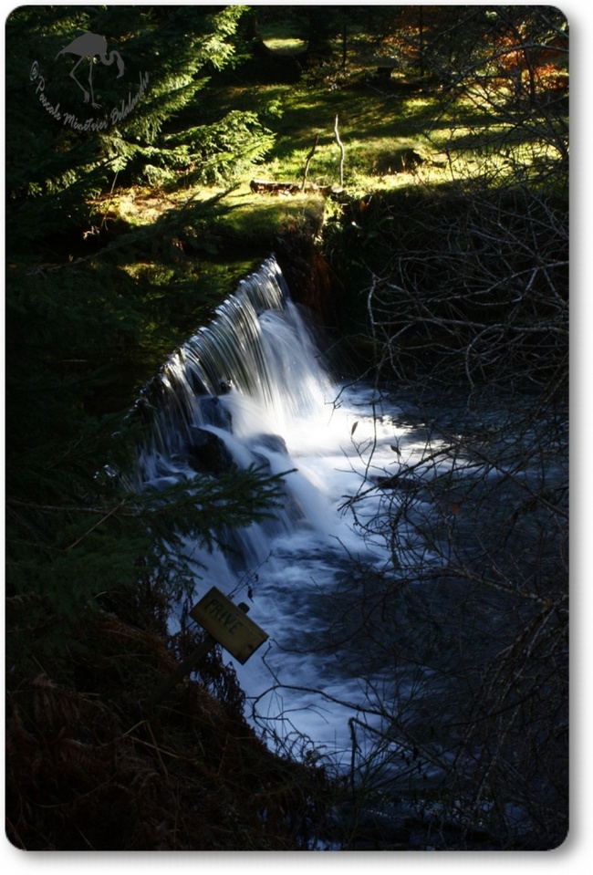 Petit coin sympa en Lozère...