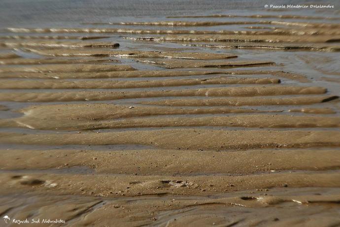 Sur le sable...