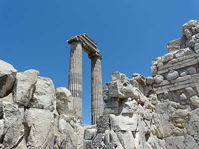 didyme colonnes