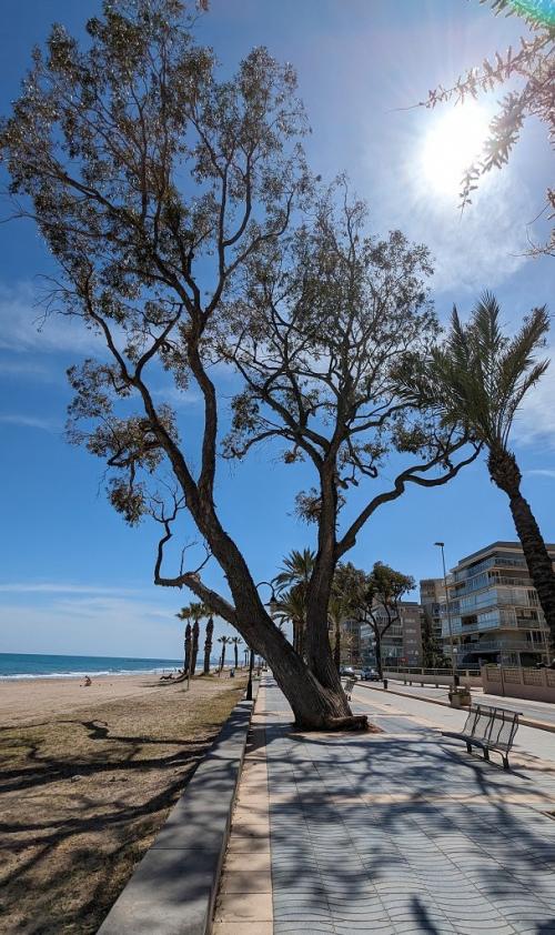 Benicasim