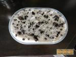 Crème glacée Oreo