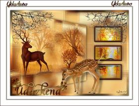 Udazkena (Automne en basque - Otoño en vasco)
