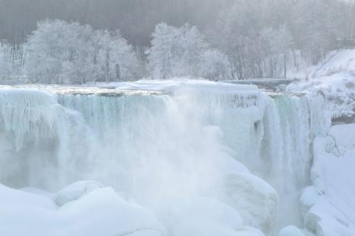Beauté de l'hiver