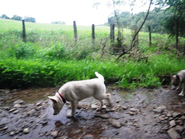Ballade sous la pluie