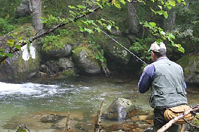 Blagounettes du jeudi ... !!!