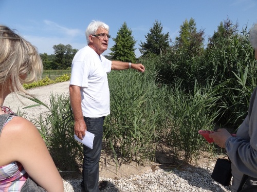 La rhizosphère de Gommeville