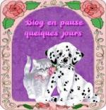 Blog en pause