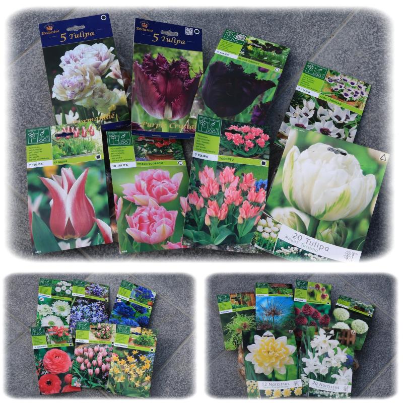 Famiflora
