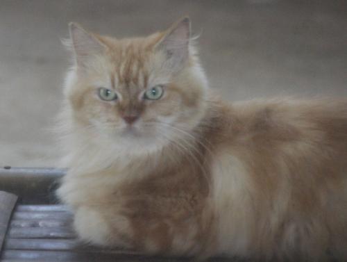 Village de Ban  Ta Pa Pao