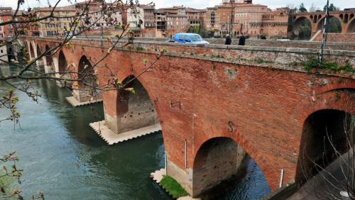 Albi  (Tarn)