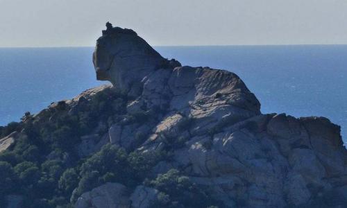 Roccapina : sa tour génoise et son lion (Corse)