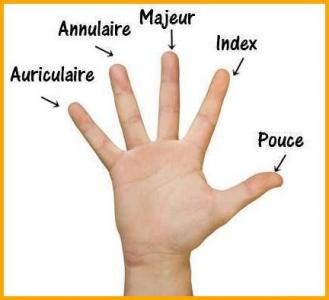 REFLEXOLOGIE