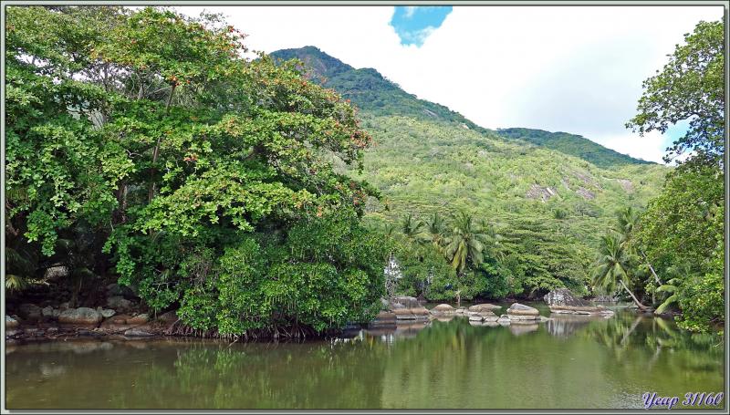 14/12/2021(suite) : seconde journée à Silhouette Island passée entre promenade dans le village et les jardins du grand complexe hôtelier voisin et baignades - Seychelles