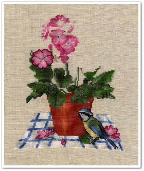 Primrose Pot - 7