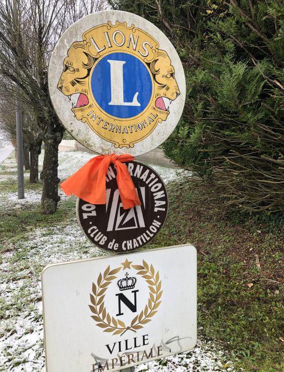 Le Zonta Club de Châtillon-sur-Seine a orangé la ville !