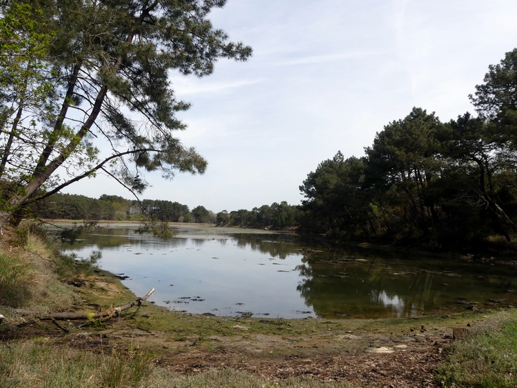 Étang du Bignac