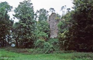 LES REMPARTS DE MORTEMER (Seine-Maritime)