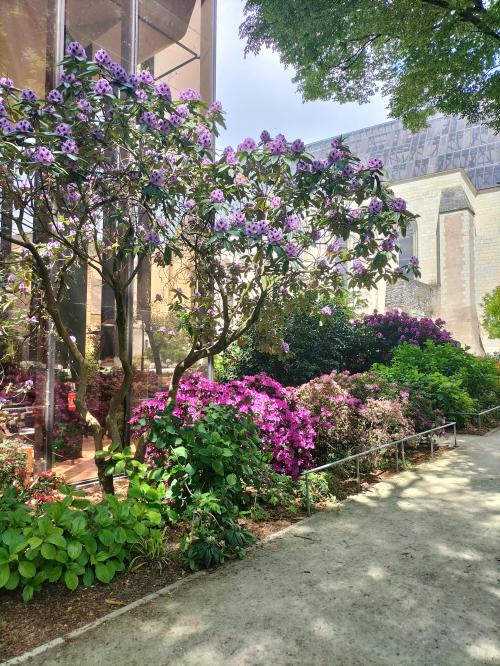 ANGERS- les jardins 1/2