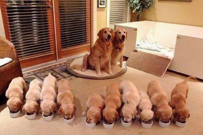Moments de tendresse ... !!!