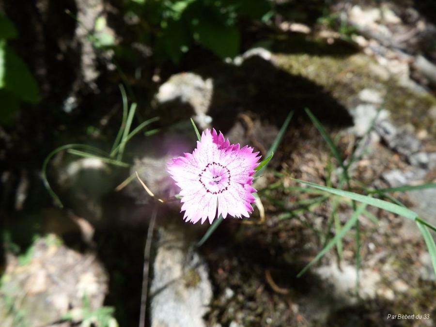 La Randonnée à Annot (3)