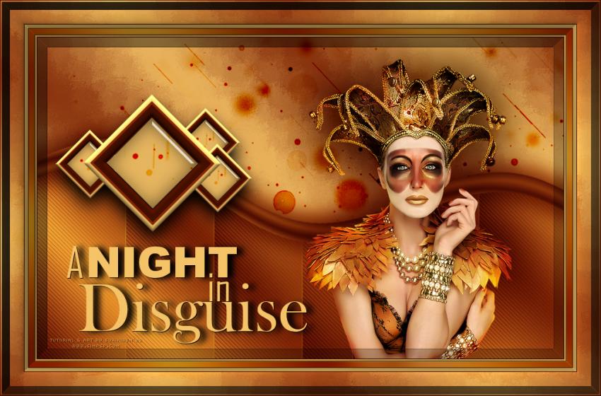 A night in Disguise
