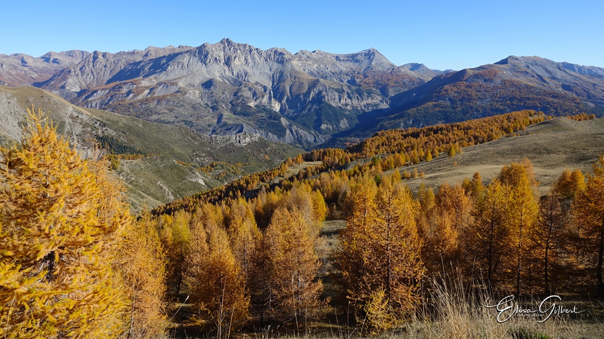 Dernier jour d'automne