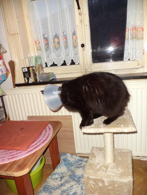 Rhaaaa! Je suis fatiguée!