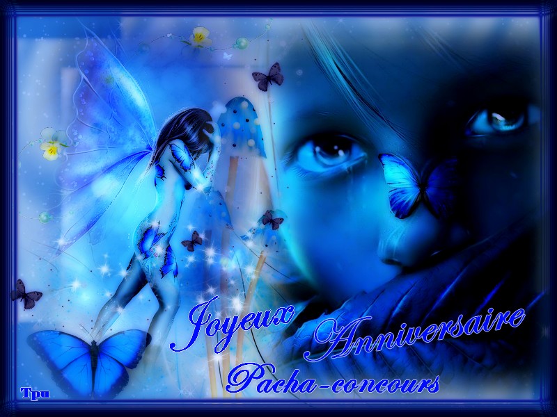 Créations concours Anniversaire pour les 2 ans du forum