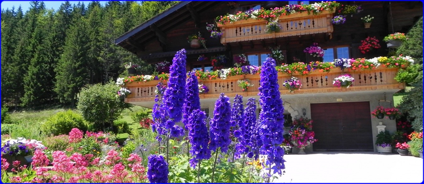 de belles fleurs dans le Doubs