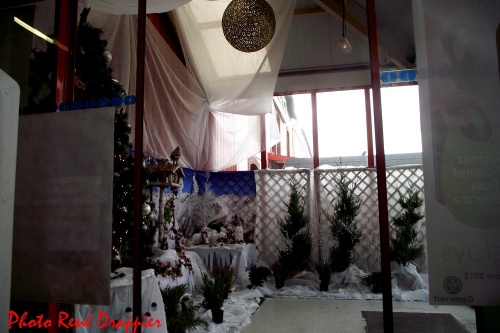 C'est déjà Noël au magasin Gamm Vert de Châtillon sur Seine...