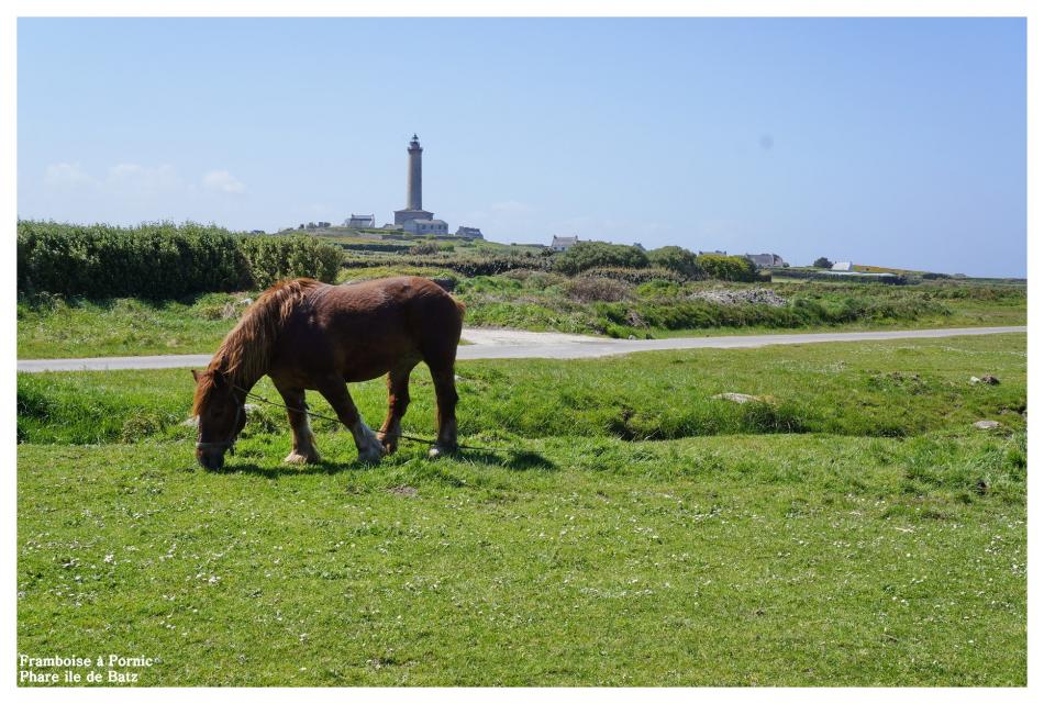Ile de Batz Finistère nord - enez vaz -