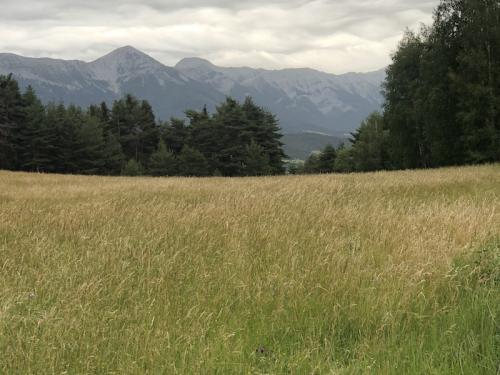 Le Villard (Selonnet)