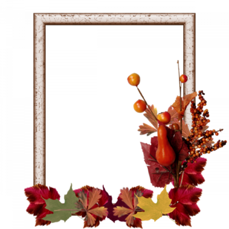 encadrements & Clusters automne 