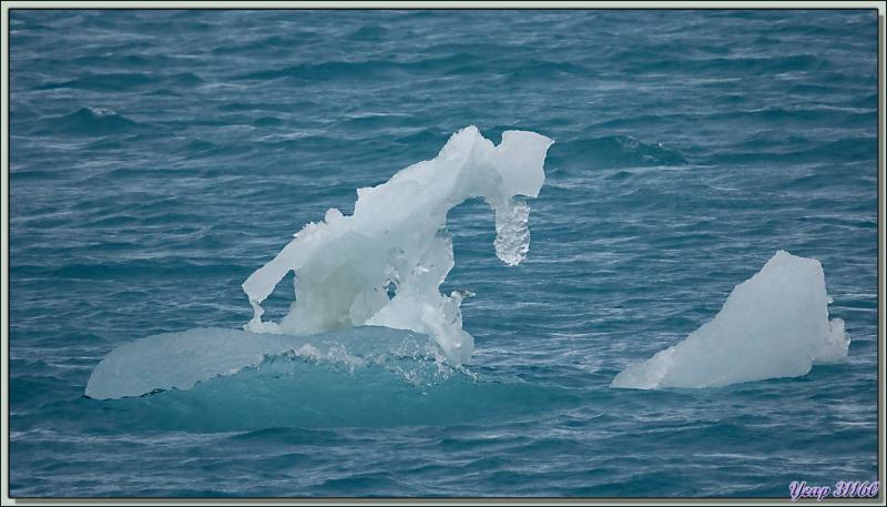 En attendant mon débarquement, je capture en image les plus beaux "glaçons" qui défilent - Devon Island - Nunavut - Canada
