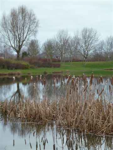 La randonnée du 8 janvier à Hérouville-Saint-Clair