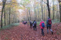 La randonnée du 17 novembre à Hermival-les-Vaux