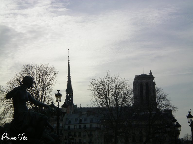 Image001.jpg