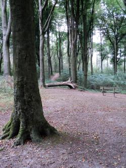 * Au Mont de l'Enclus 2