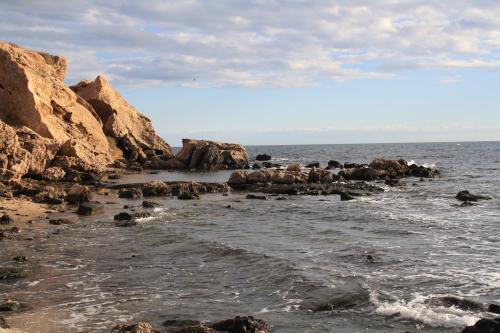 Lundi 20 au dimanche 26 janvier