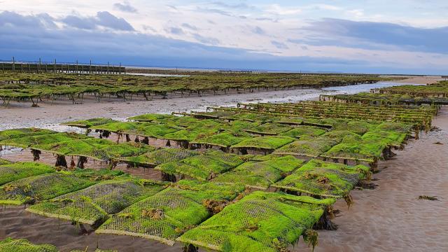 Département de la Manche 2ème partie