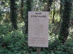Un après midi dans les pins
