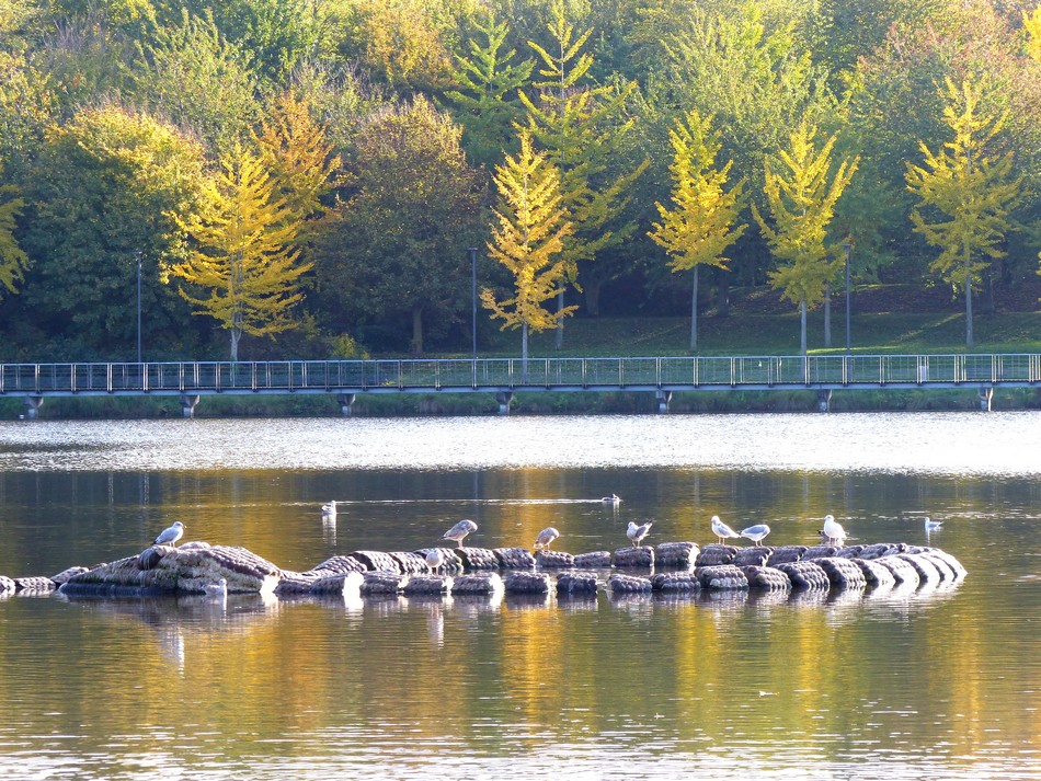 Le parc avant l'hiver