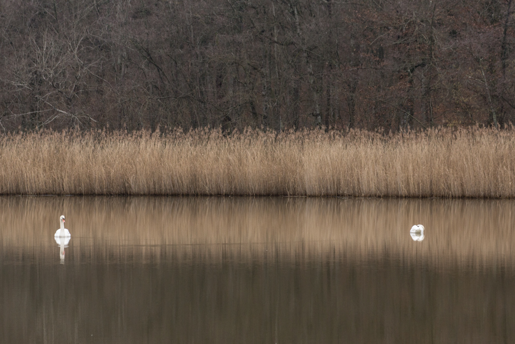 Quand l'envie vous prend - 4