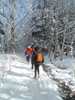 Neige tardive à Kopitoto
