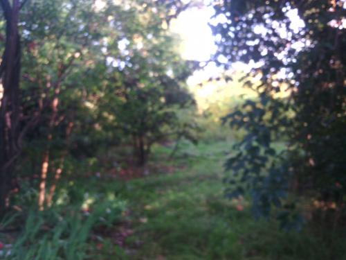 Chez Jean et Jeanine à Berre