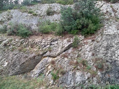 Les dentelles de Montmirail  (Vaucluse)