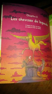 Tout sur le cheval... et le reste