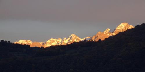 Coucou du dimanche soir 