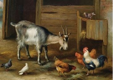Edgard Hunt