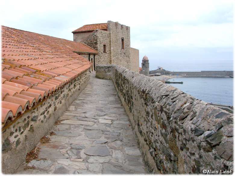 Chateau_Collioure_18